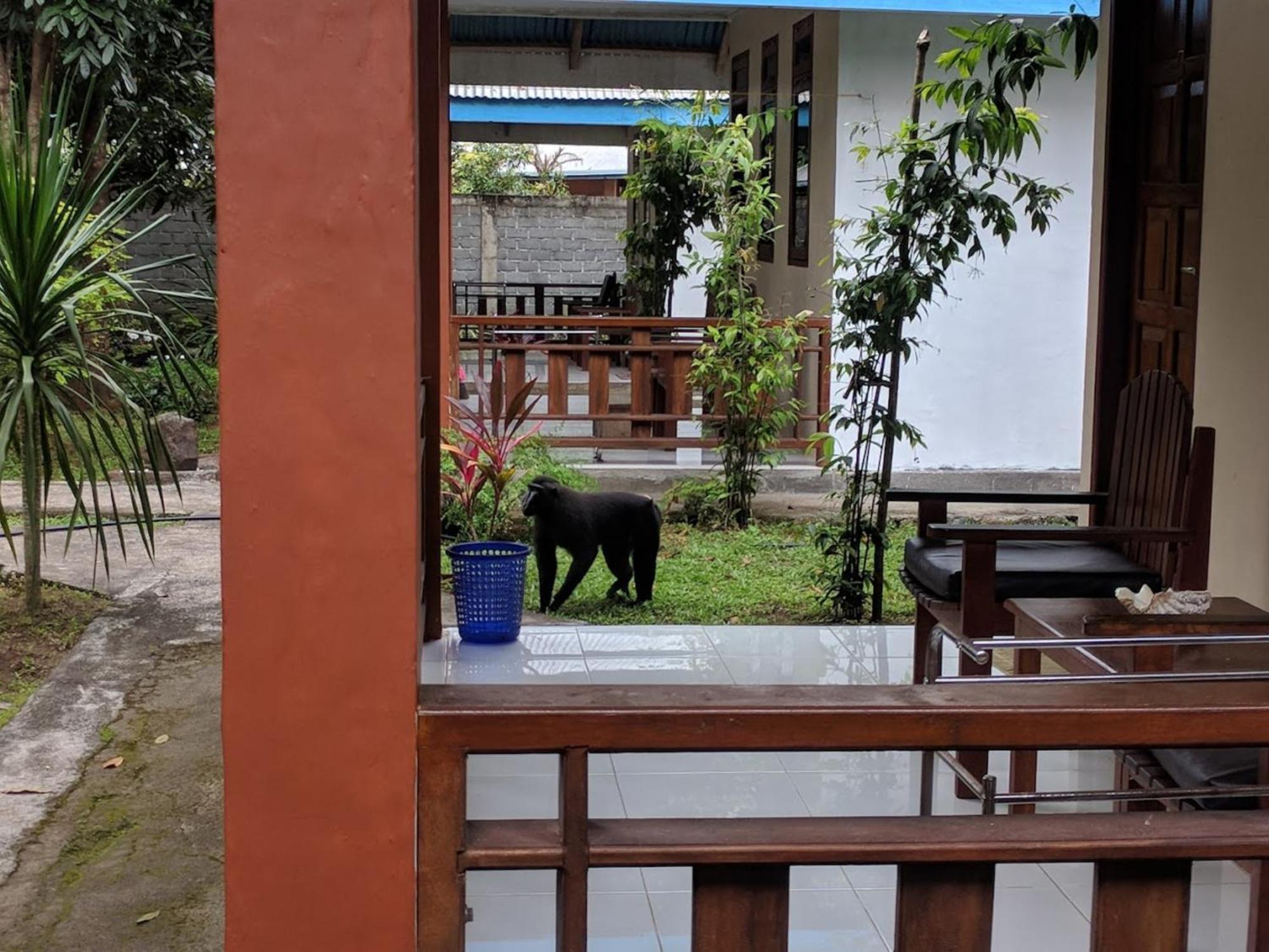Tangkoko Macaca Hotel Rinondoran Buitenkant foto