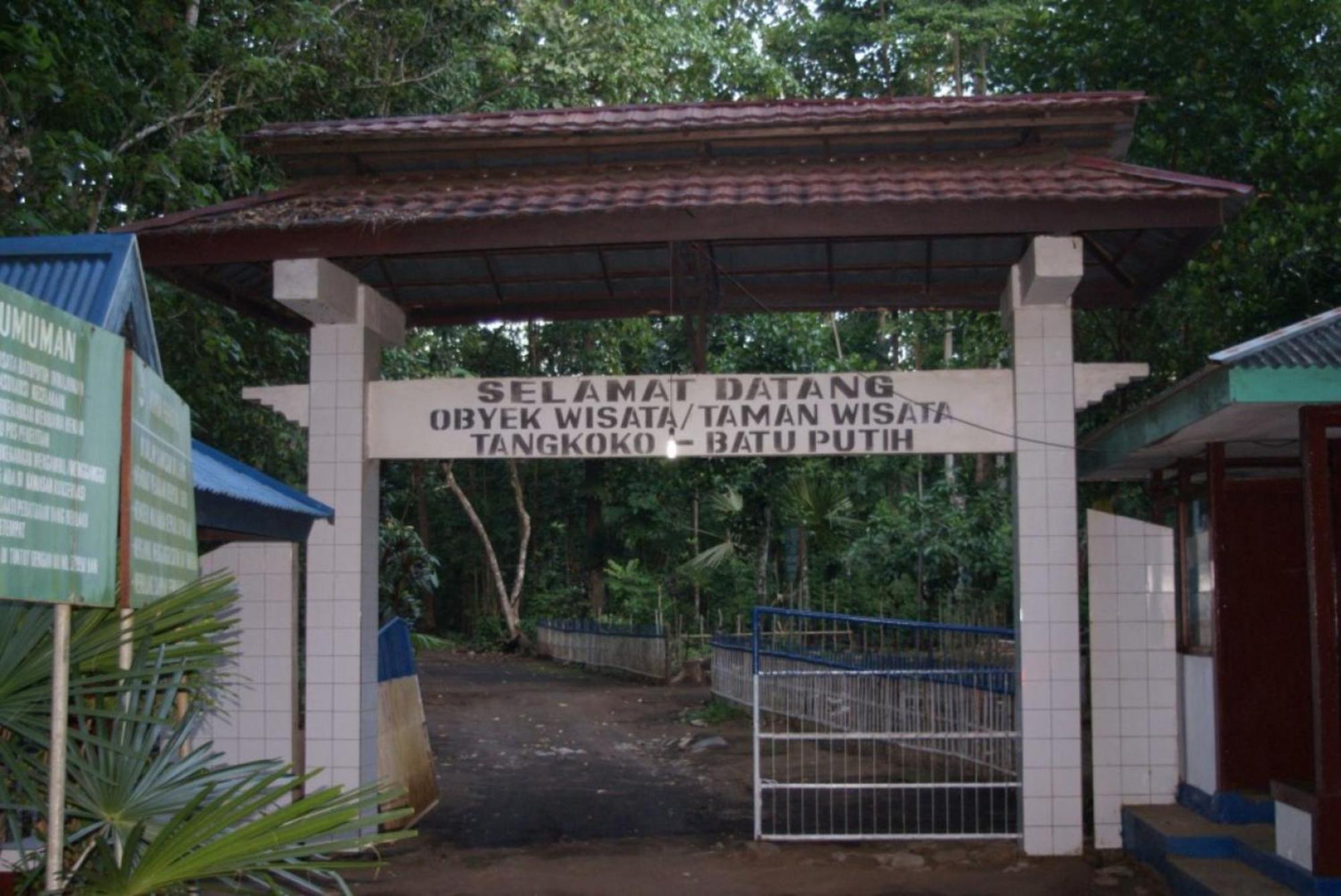 Tangkoko Macaca Hotel Rinondoran Buitenkant foto
