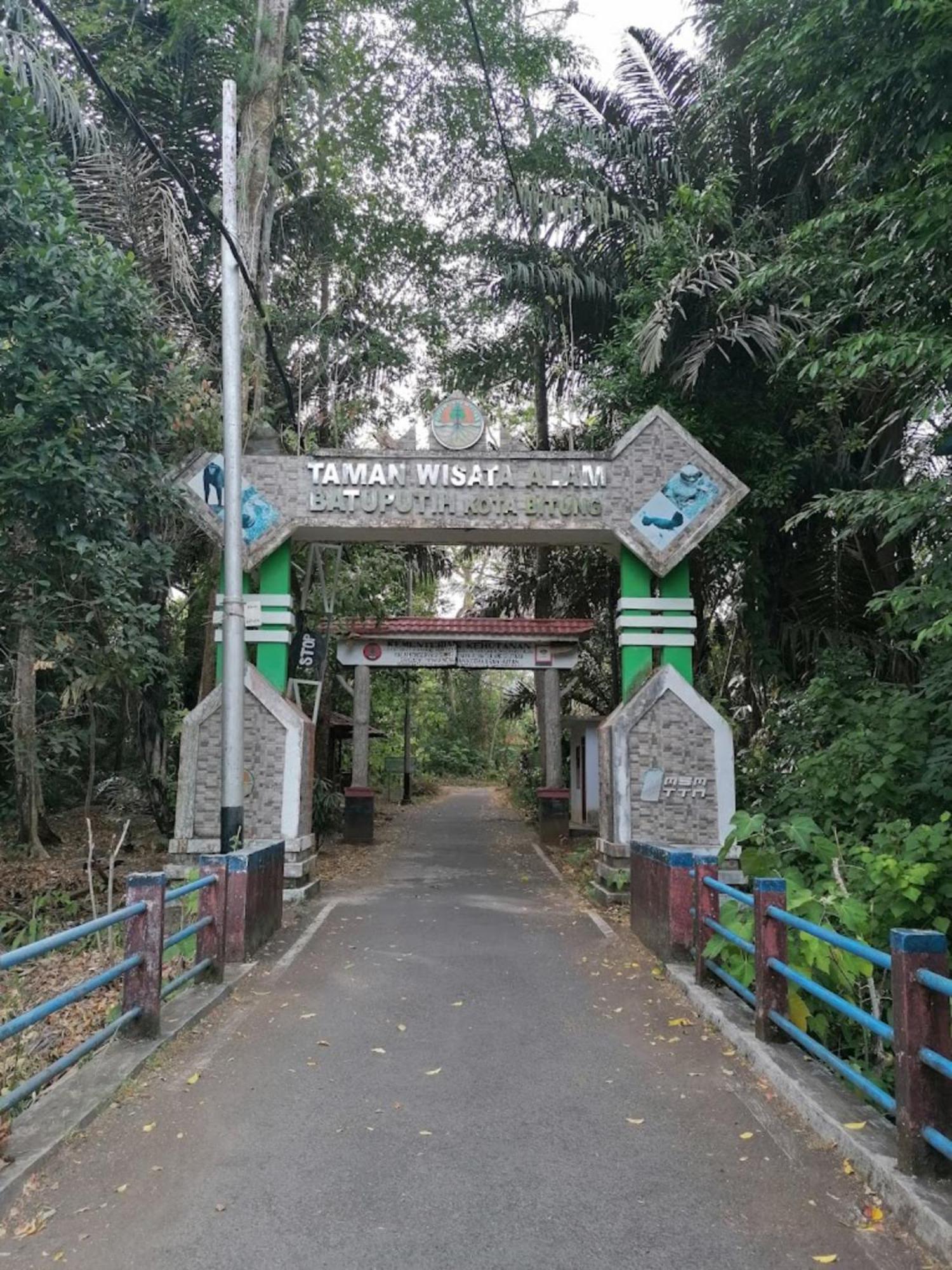 Tangkoko Macaca Hotel Rinondoran Buitenkant foto